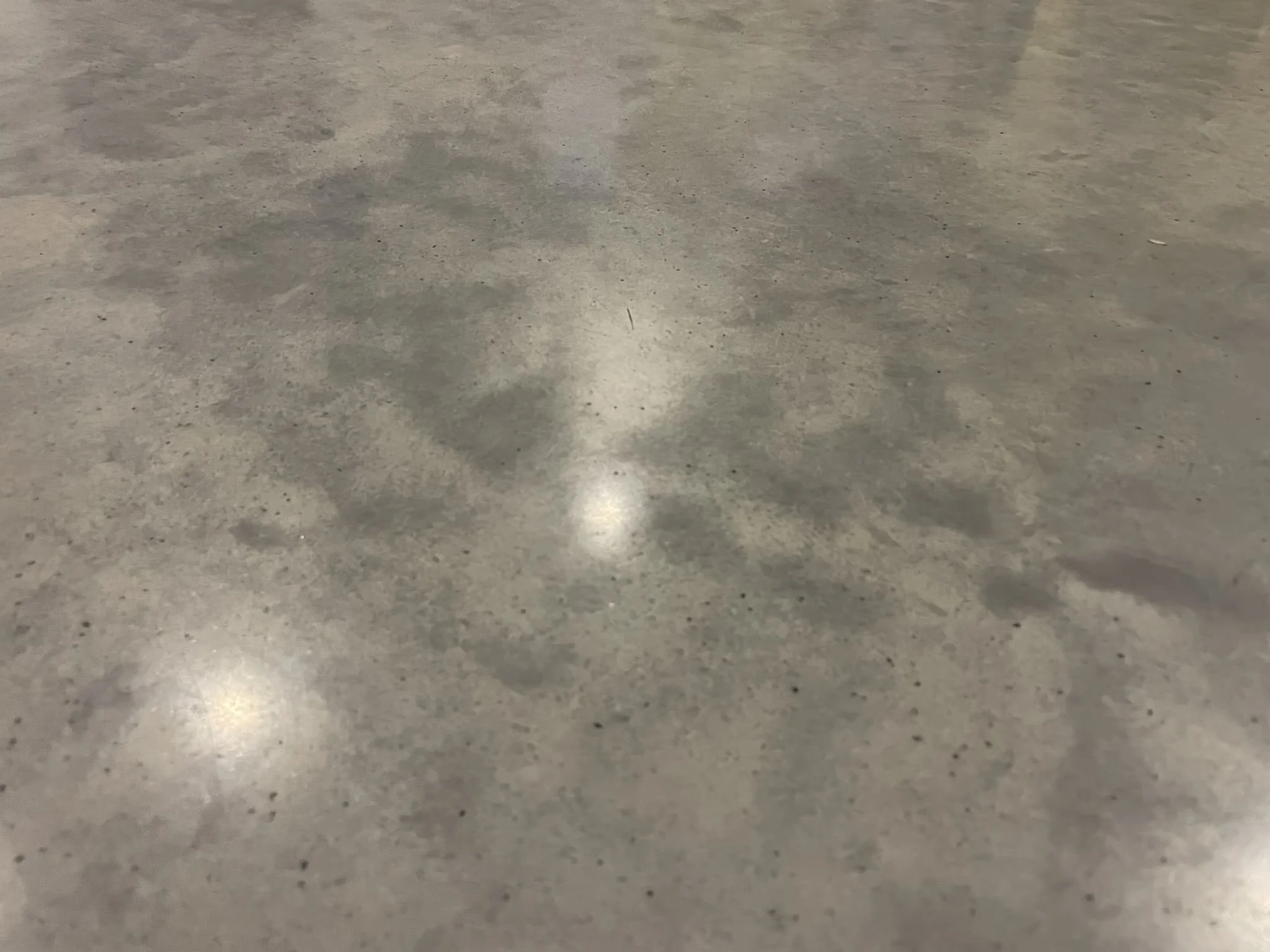 Цветное тонкослойное покрытие с разметкой в административном здании / ТопПолГарант