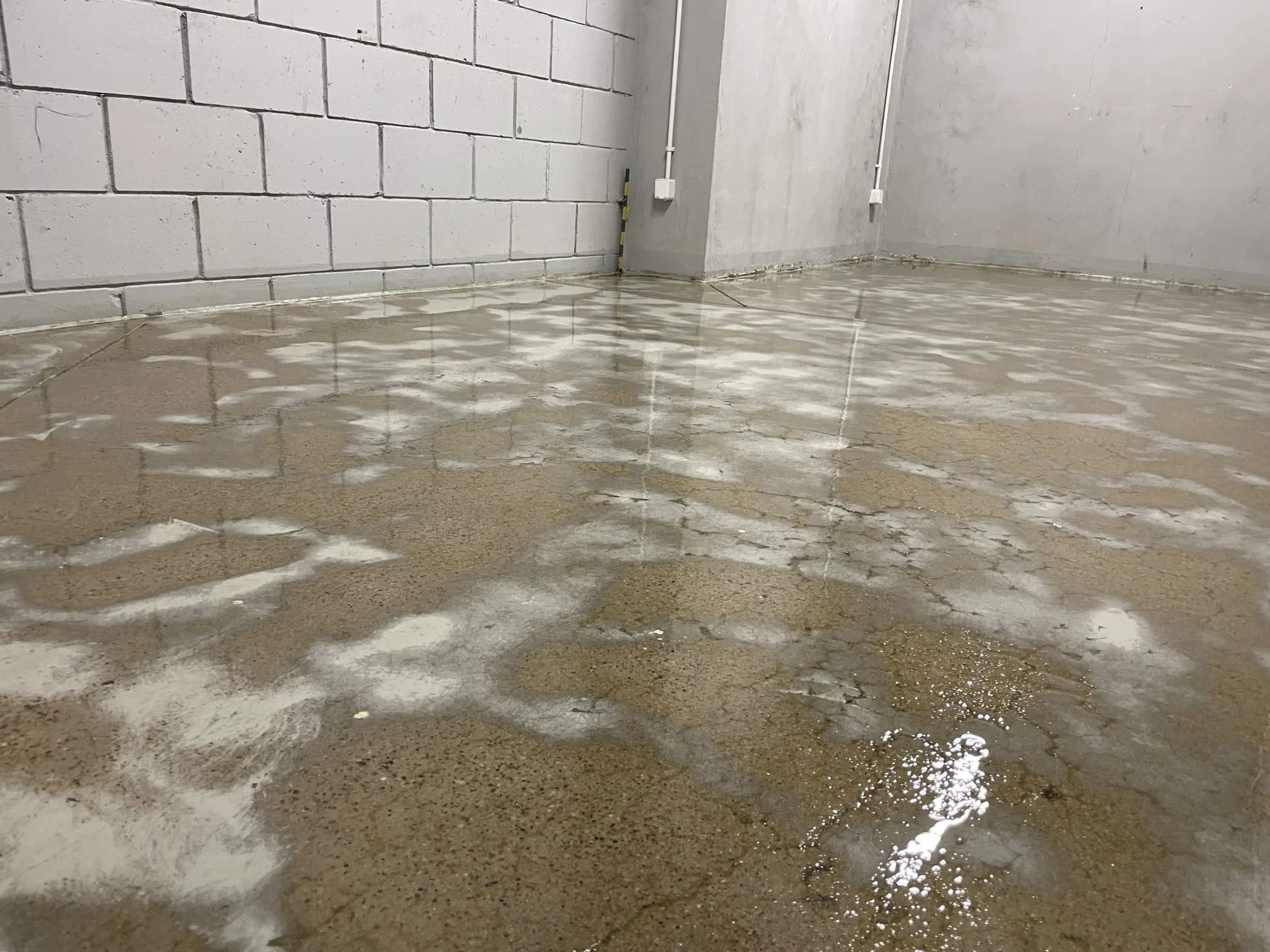 Процесс нанесения тонкослойного наливного полимерного пола шпателем